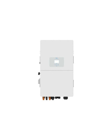 Vista Frontal Vista Frontal